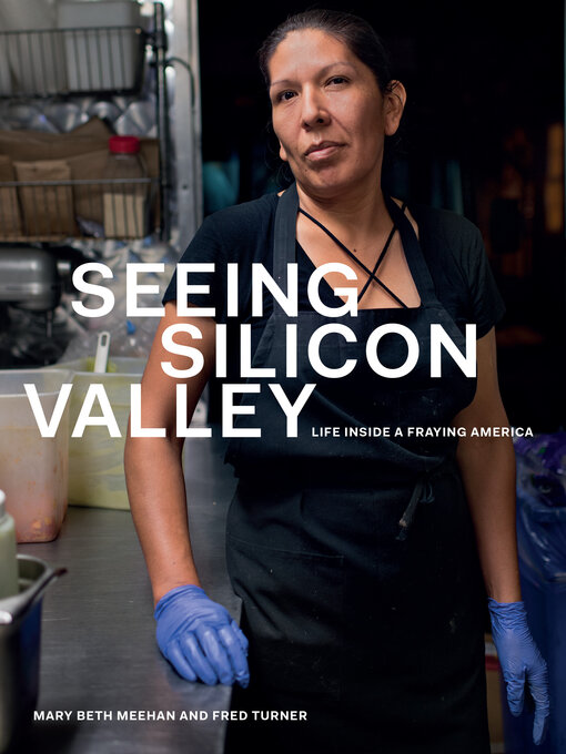 Title details for Seeing Silicon Valley by Mary Beth Meehan - Available